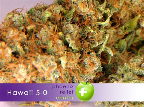 Hawaii 5 0 weed strain - Strain Profiles. Below you will find one of the largest marijuana strain collections on the web, complete with detailed descriptions and high resolution photography. For each strain, we've documented its history, genetic background, appearance, aroma, unique qualities and flavor. Learn more about your favorite strains of cannabis or discover ...